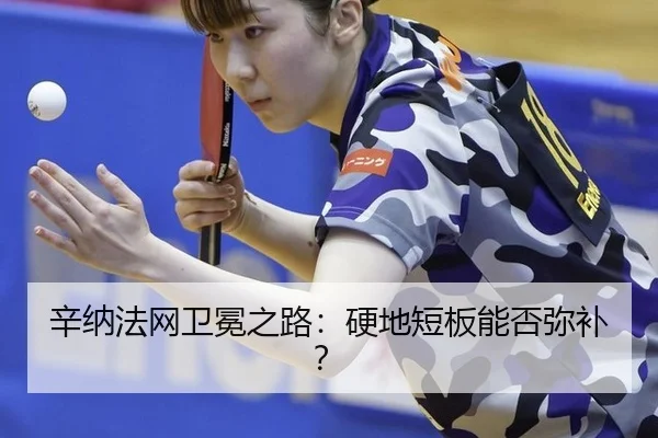 xin-na-fa-wang-wei-mian-zhi-lu-ying-di-duan-ban-neng-fou-mi-bu-2-578.jpg
