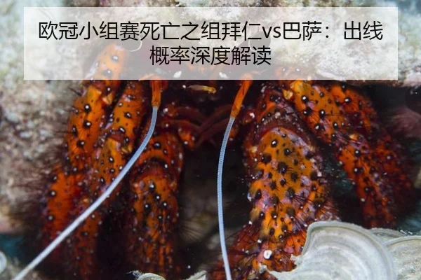 欧冠小组赛死亡之组拜仁vs巴萨：出线概率深度解读