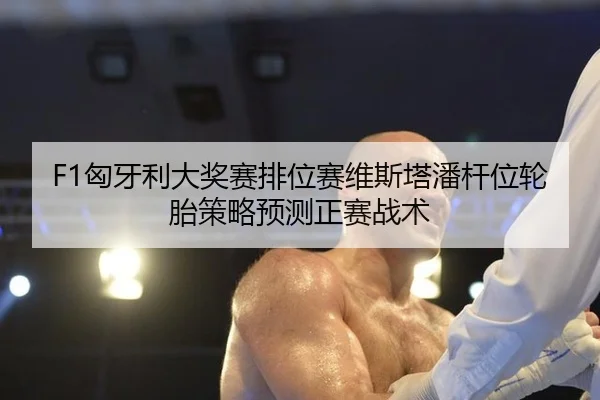 xiong-ya-li-da-jiang-sai-pai-wei-sai-wei-si-ta-pan-gan-wei-lun-tai-ce-lve-yu-ce-zheng-sai-zhan-shu-3-126.jpg
